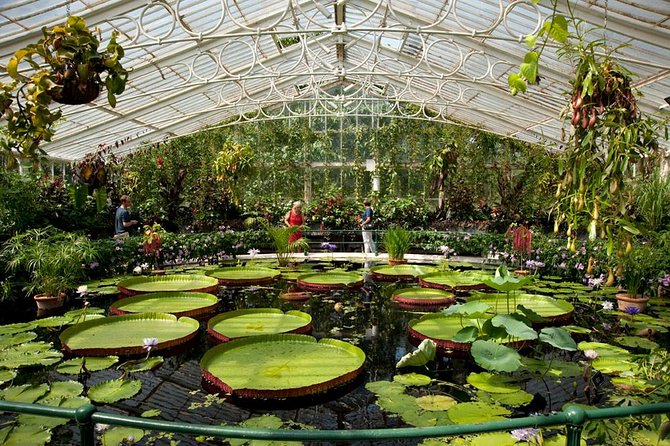 Kew Gardens Entrance Ticket - The Azalea Garden, Minka House, and Bamboo Garden