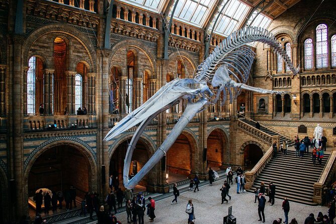 Kid-Friendly Natural History Museum & Dinosaurs Private Guided Tour in London - Why a private guide helps at this free London museum