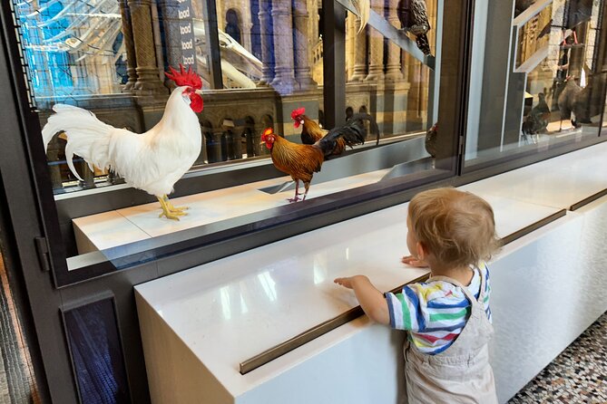 Kid-Friendly Natural History Museum & Dinosaurs Private Guided Tour in London - Practical ways to make the most of the 2.5 hours