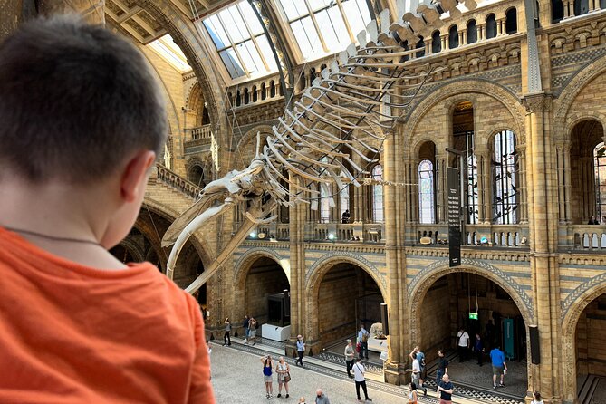 Kid-Friendly Natural History Museum & Dinosaurs Private Guided Tour in London - Meeting T. rex in the Dinosaur Gallery