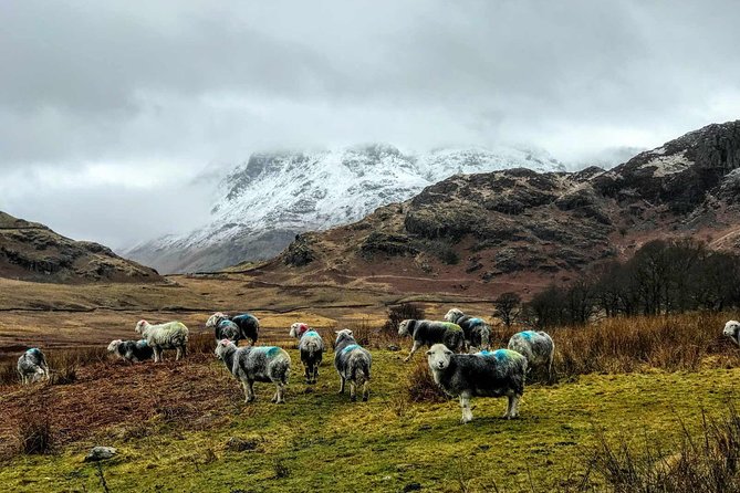 Lake District Adventure Sightseeing Day Trip from Liverpool - Five things to know before you book