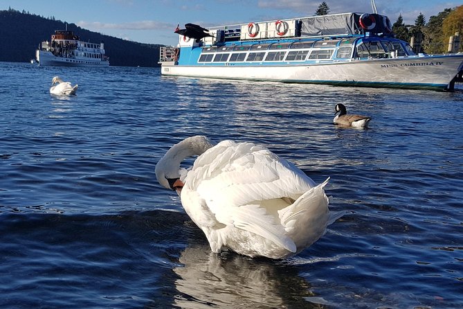 Lake District Adventure Sightseeing Day Trip from Liverpool - Guides make the difference