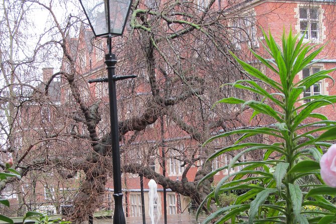 Law in London Private Tour - What the guide adds to the experience