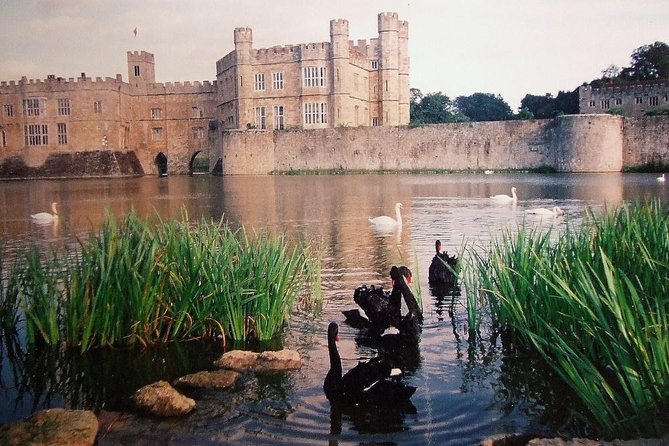 Leeds Castle, Canterbury and White Cliffs of Dover - Driver Guide - The private Mercedes van is a major part of the value