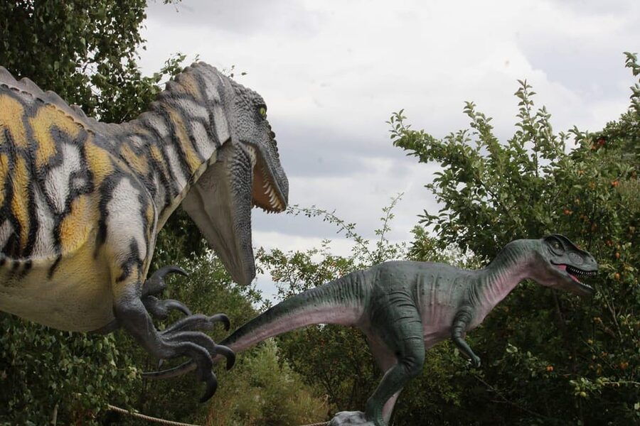 Lincolnshire: ARK Wildlife and Dinosaur Park Entry Ticket - Play areas and pacing your family day