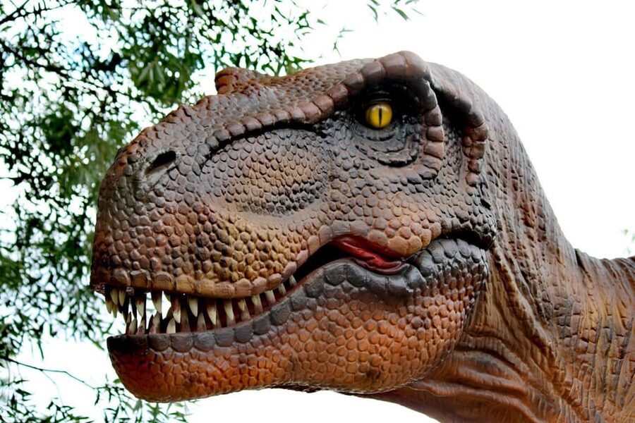 Lincolnshire: ARK Wildlife and Dinosaur Park Entry Ticket - Kalahari Cafe and Dino Bites