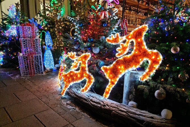 London Christmas Lights Bike Tour with Local Guide - What the small group changes