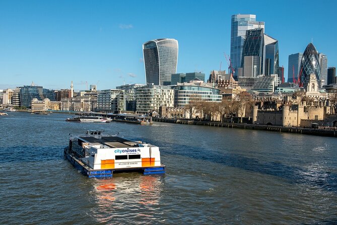 London: Harry Potter Walk, Hop-on Hop-off Bus Tour and Cruise - St Paul’s, Madame Tussauds, and family stops