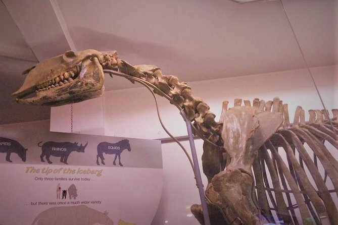 London Natural History Museum Private Tour for Kids & Families - The Dinosaur Gallery and its ancient predator