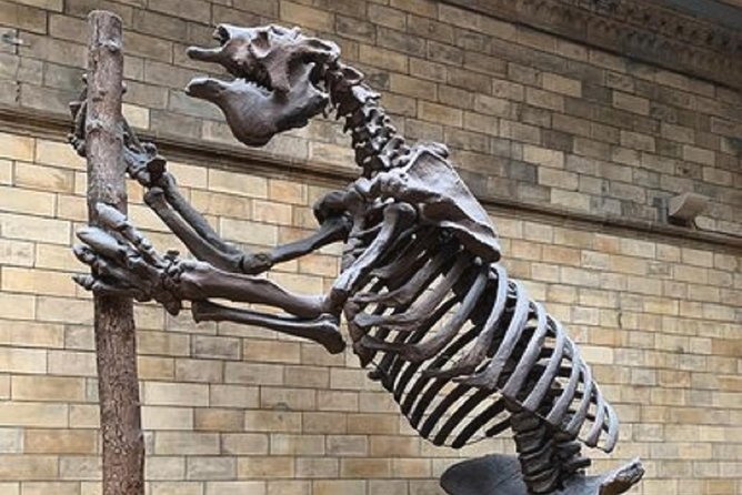 London Natural History Museum Private Tour for Kids & Families - What the $319.87 price really buys