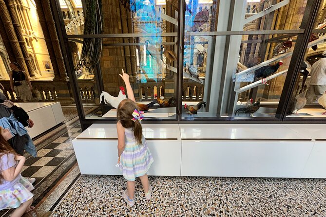 London Natural History Museum with Dinosaurs Gallery Private Tour for Kids - Marine reptile fossils and Jurassic sea crocodiles