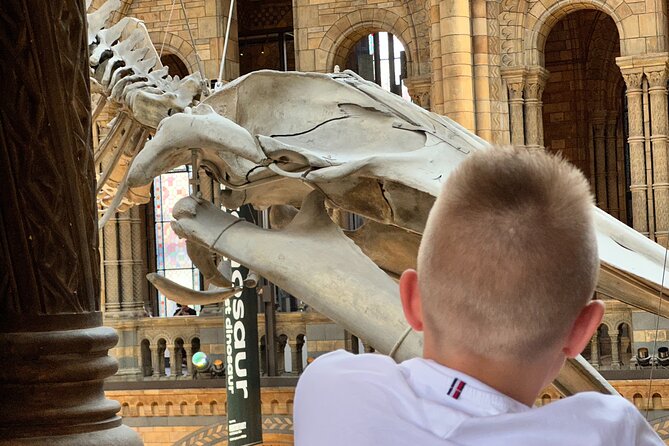 London Natural History Museum with Dinosaurs Gallery Private Tour for Kids - What makes the private guide useful