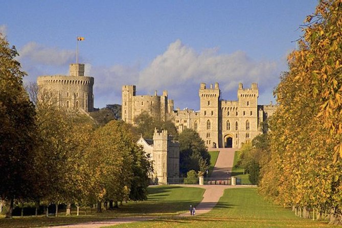 London to Southampton Cruise Port Via Windsor Castle - What the driver adds to the experience