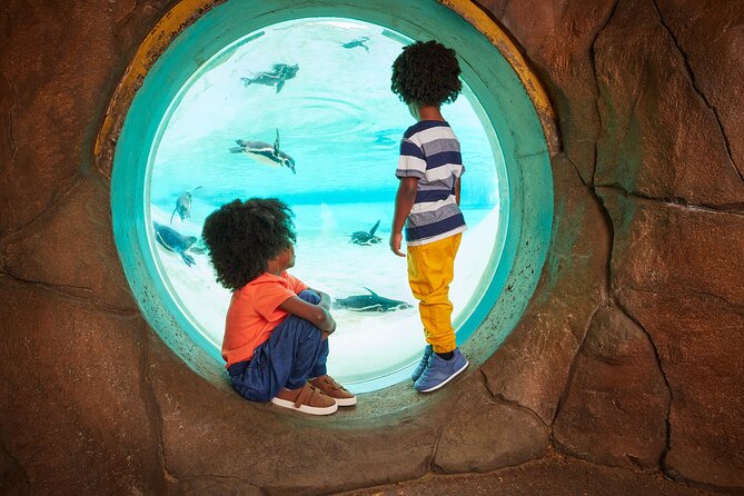 London Zoo Entry Ticket - How Much Time You Need