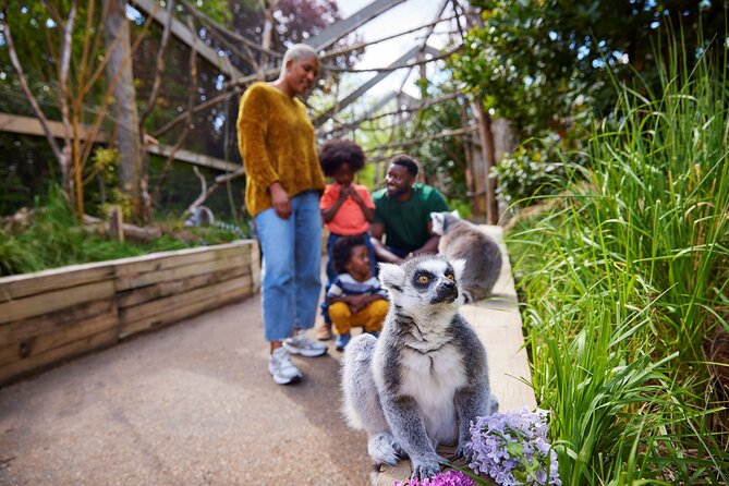 London Zoo Entry Ticket - Land of the Lions: The Main Attraction