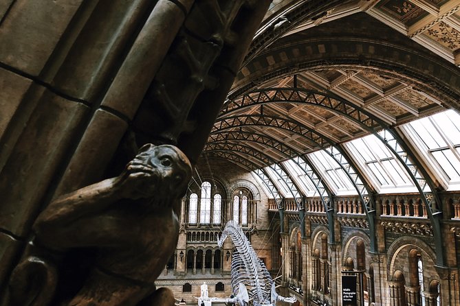 Natural History Museum London - Exclusive Guided Museum Tour - Archaeopteryx and the dinosaur displays