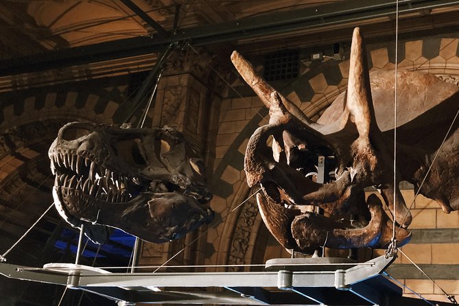Natural History Museum London - Exclusive Guided Museum Tour - Gemstones, the vault, and unusual specimens