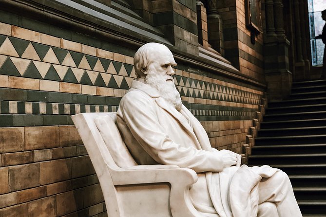 Natural History Museum London - Exclusive Guided Museum Tour - What the private format really gives you