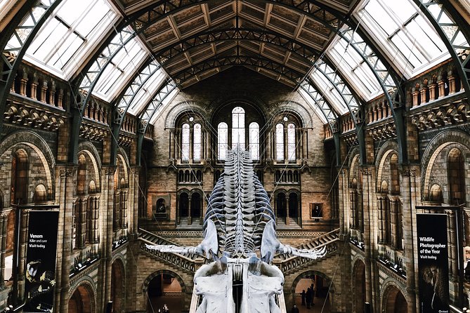 Natural History Museum London - Exclusive Guided Museum Tour - Earth’s origins, volcanoes, and the first big stories