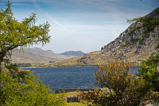 North Wales and Caernarfon Castle day-tour from Liverpool - The guides shape the whole experience