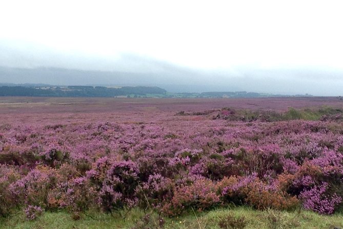 North York Moors and Whitby Day Tour from York - Why this is a smart day trip from York