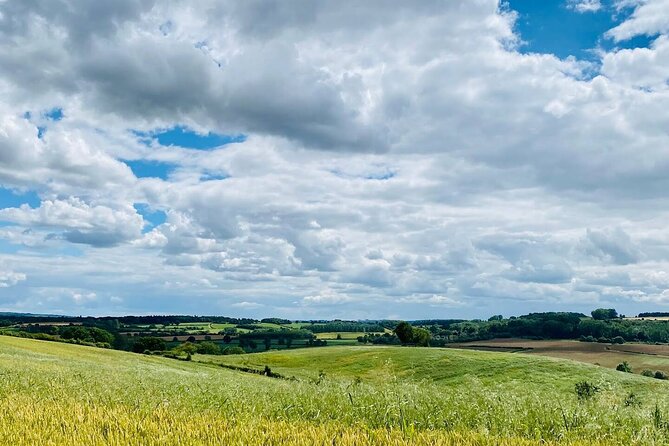One Day Tour from London to The Cotswolds - A guide who shapes the day around you