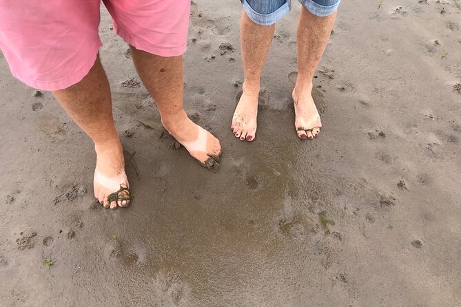 Pilgrims' Path walk across the sands to Holy Island - Key points to know before you book
