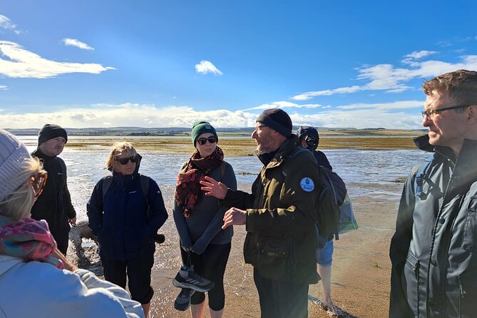 Pilgrims' Path walk across the sands to Holy Island - Why walking to Lindisfarne feels different