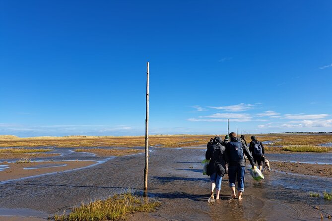 Pilgrims' Path walk across the sands to Holy Island - Crossing the sands, mud, and Pilgrims’ Path