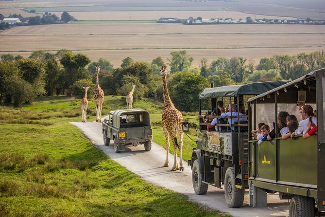 Port Lympne Day Ticket - Key points to know before you go