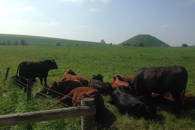 Private Archaeologist Guided Tour Stonehenge, Salisbury & Avebury - The Alton Barnes White Horse from the vehicle