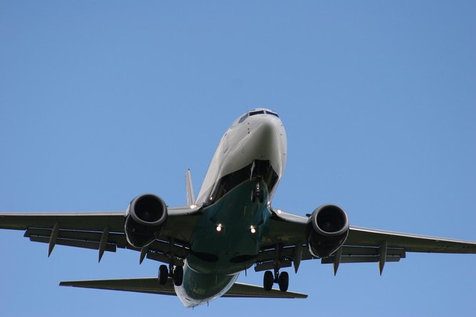 Private Arrival Transfer: Gatwick Airport to Central London - Key Points Before You Book