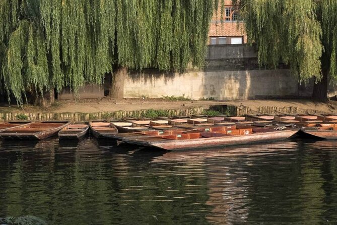 Private Cambridge Punting Tour - Private group size and comfort