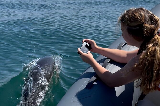 Private Coastal Boat Tour in Torquay - Looking for dolphins and porpoises