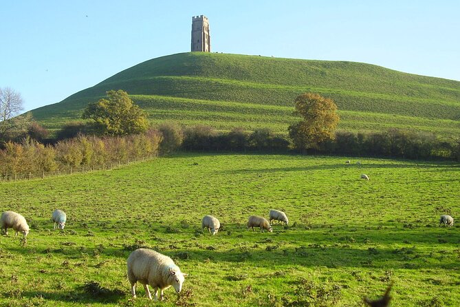 Private Day Tour from Bath to Glastonbury and Wells with Pickup - The guide and the value of a private group