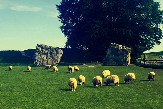 Private Day Tour to Bath, Avebury & The Cotswolds - Who should book this day out?