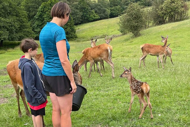 Private Deer Park Tour and Day Out in Leek - Photography advice that adds value