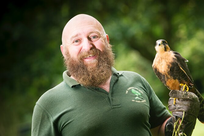 Private Family Bird of Prey Experience in Carlisle - Key points to know before booking