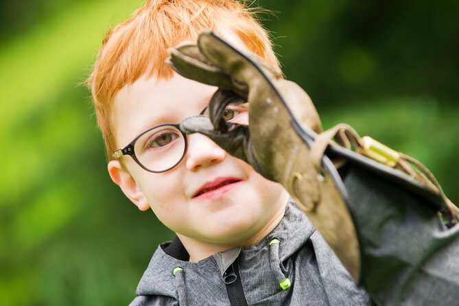 Private Family Bird of Prey Experience in Carlisle - Flying a hawk and holding an owl