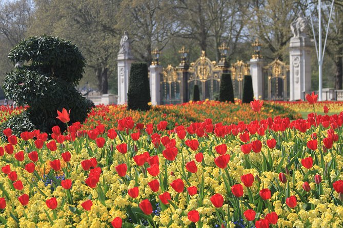 Private Tour, Entry to Westminster Abbey and London Highlights - The Guides Make The Difference