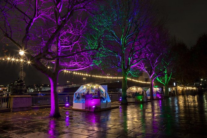 Private Tour: Night Photography Tour in London - Big Ben and the Houses of Parliament across the river