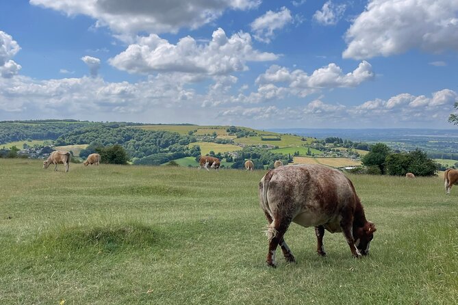 Private tour of the stunning Cotswolds with an expert local guide - Why Nathan makes the difference