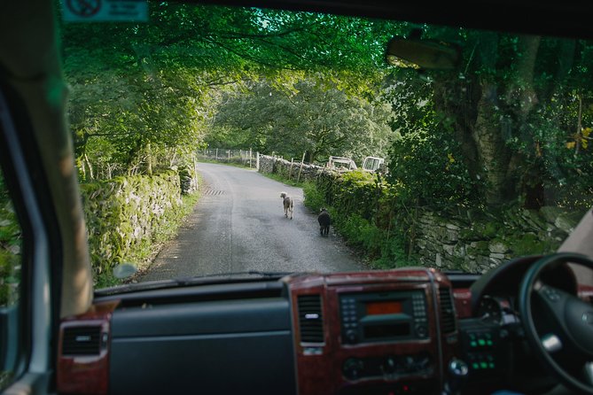 Private Tour: The Lake District from Liverpool - Timing, comfort, and practical limits