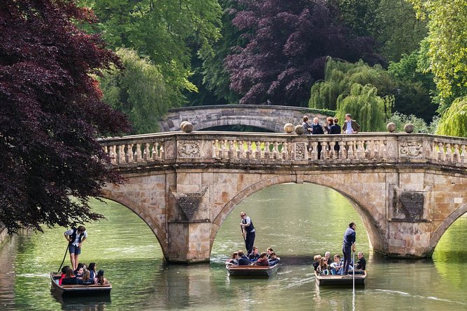 Punting Tour in Cambridge - The guide can make or break the 45 minutes