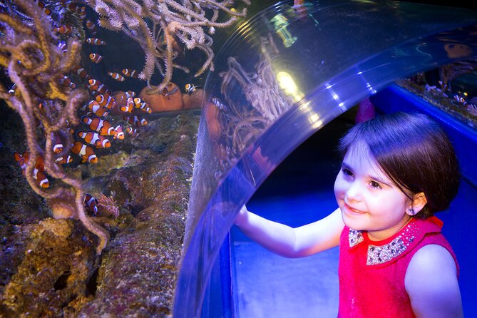 SEA LIFE Birmingham Admission Ticket - What the $26.05 admission really buys you