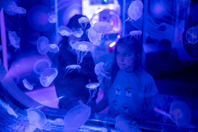 SEA LIFE Birmingham Admission Ticket - Staff support and the family experience