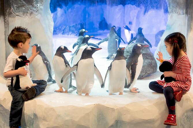 SEA LIFE Birmingham Admission Ticket - Starting with more than 2,000 sea creatures