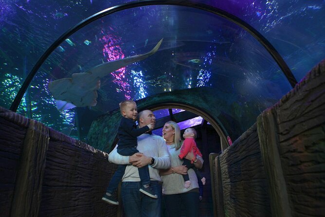 SEA LIFE Blackpool Admission Ticket - Five Things to Know Before You Go
