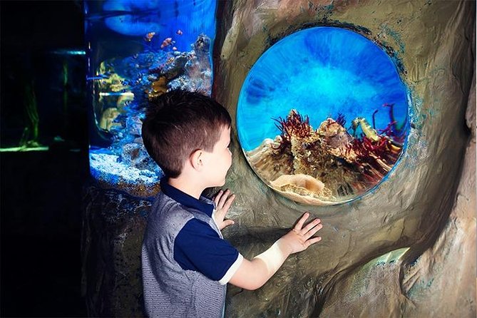SEA LIFE Blackpool Admission Ticket - The Tropical Reef and Underwater Tunnel