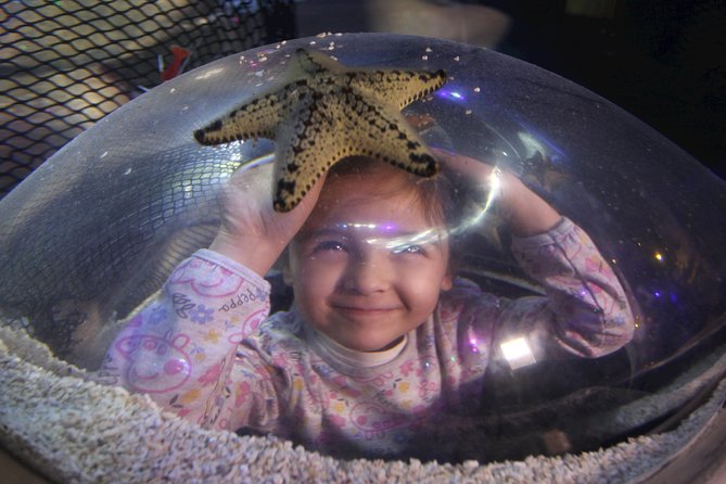 SEA LIFE Blackpool Admission Ticket - Seahorse Kingdom and Conservation Work